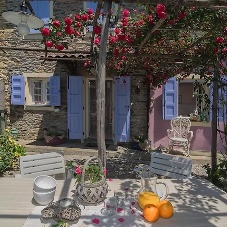 - House In The Woods - Apuan Alps & Panoramic View - Jacuzzi Montignoso